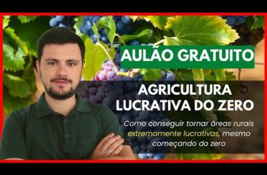 Aulão: Agricultura Lucrativa do Zero