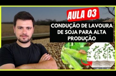 AULA 03 Condução de Lavoura de Soja para altas produtividades