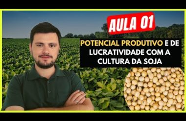 AULA 01 Potencial Lucrativo e Planejamento para áreas de Soja I Intensivo de Cultivo de Soja