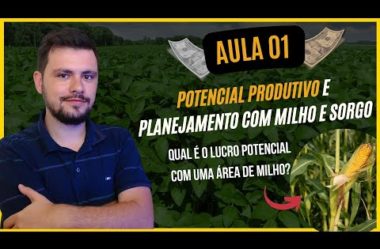 Aula 01 Potencial produtivo e planejamento com milho e Sorgo