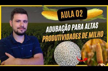 Aula 02 Adubação para altas produtividades de milho