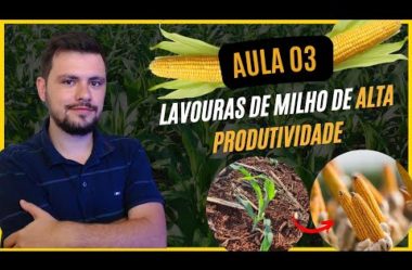 AULA 03 – Lavouras de Milho de Alta produtividade