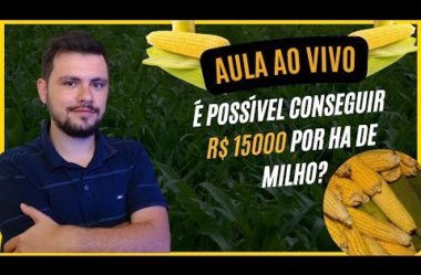 Aula Ao vivo –  É  possível conseguir R$ 15000,00 por ha com Milho?