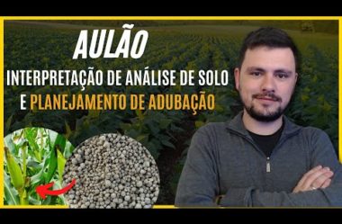 Aulão – Interpretação de Análise de solo e Planejamento de Adubação