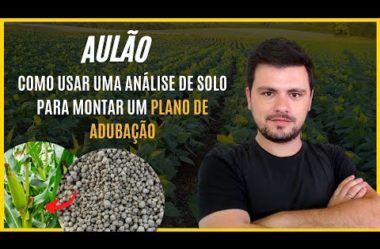 Aulão – Como usar uma análise de solo para montar um plano de adubação