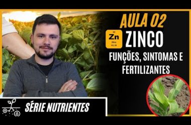 SÉRIE NUTRIENTES: ZINCO funções, sintomas de deficiência e fertilizantes para correção