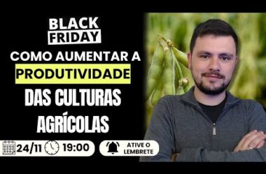 Aula – Como Aumentar a Produtividade das Culturas Agrícolas