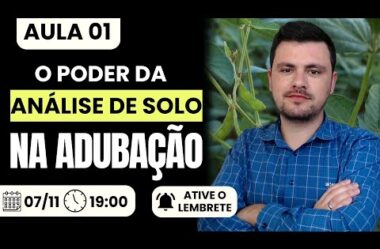 Aula 01 – O poder da Análise de Solo na adubação I Intensivo de Interpretação de análise de solo