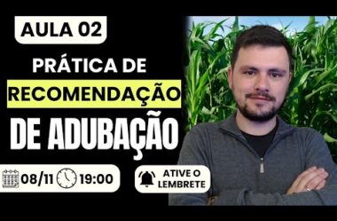 Aula 02 – Prática de recomendação de Adubação I Intensivo de interpretação de análise de solo