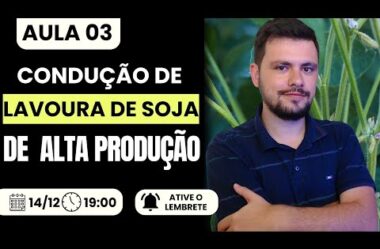 Aula 03 – Condução de lavoura de soja para alta produtividade I Intensivo de Cultivo de soja