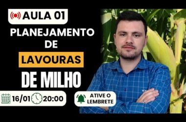 Aula 01 – Planejamento de lavouras de milho (Intensivo de Produção de Milho)