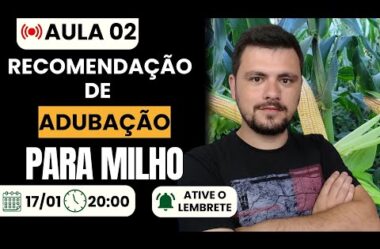 Aula 02 – Recomendação de adubação para milho (Intensivo de Produção de Milho)