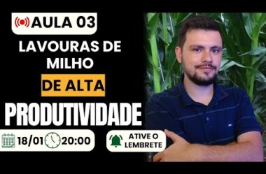 Aula 03 – Lavouras de Milho de alta produtividade (Intensivo de Produção de Milho)