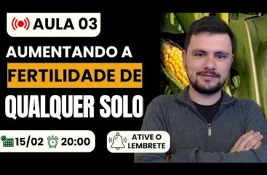 Aula 03 – Como aumentar a FERTILIDADE DO SOLO (Intensivo de Interpretação de análise de solo)