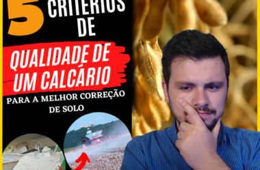 5 critérios de qualidade de um calcário