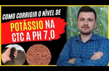 Como corrigir o nível de Potássio na CTC a pH 7,0