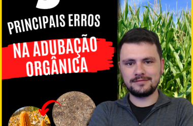 5 ERROS NA ADUBAÇÃO ORGÂNICA