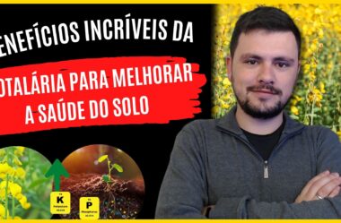 5 dicas para melhorar a fertilidade do solo