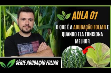 Aula 01: Série Adubação Foliar