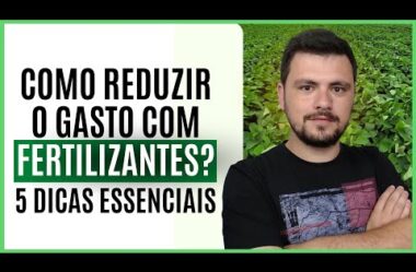 Benefícios da crotalária na saúde do solo