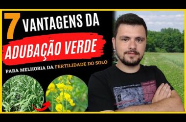 Vantagens da Adubação Verde