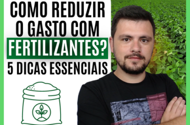 5 dicas para reduzir o gasto com Fertilizantes