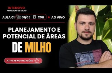 Aula 01 – Planejamento e Potencial de áreas de Milho (Intensivo de Produção de Milho)