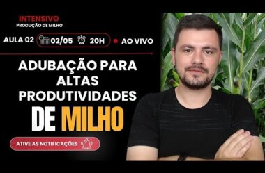 Aula 02 – Adubação e Fertilidade do solo para Milho (Intensivo de produção de Milho)