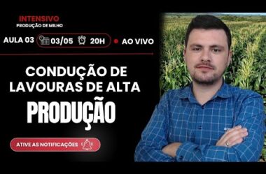 Aula 03 – Condução de lavoura de alta PRODUÇÃO e LUCRATIVIDADE (Intensivo de Produção de Milho)