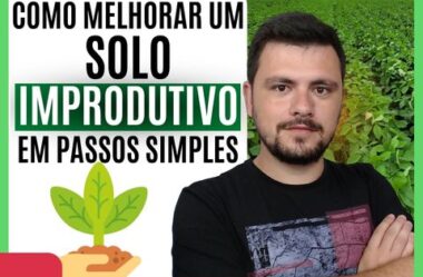 Como melhorar um solo improdutivo em passos simples