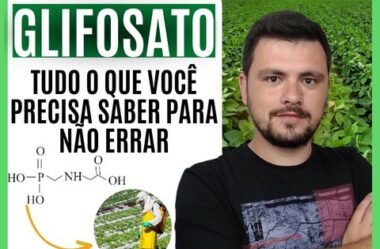 GLIFOSATO: tudo que você precisa saber para não errar