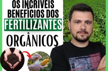 Os incríveis benefícios dos fertilizantes orgânicos