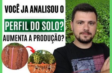 Importância da construção do perfil do solo para altas produtividades