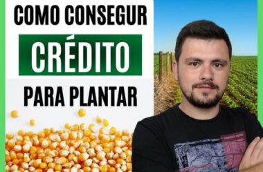 Como conseguir dinheiro para plantar na próxima safra