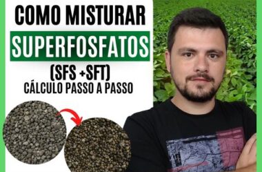 Como misturar superfosfatos (simples e triplo)