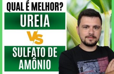 Qual melhor fertilizante, UREIA ou SULFATO DE AMÔNIO?