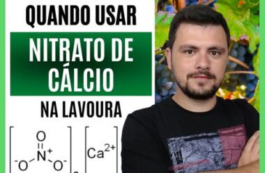 Quando compensa usar Nitrato de Cálcio nas lavouras