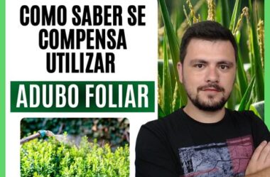 Como calcular o custo-benefício de um fertilizante foliar