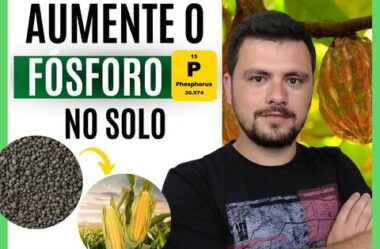 Principais problemas encontrados na aplicação de fertilizantes fosfatados no solo