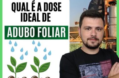 Qual é a dose ideal de Adubo Foliar?