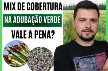 Mix de cobertura na adubação verde, vale a pena?