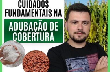 Cuidados fundamentais na adubação de cobertura