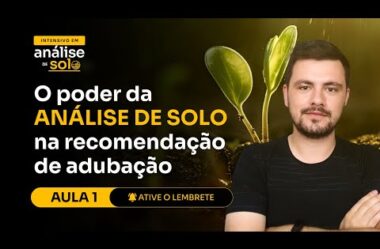 Aula 01 – O poder da ANÁLISE DE SOLO na recomendação de adubação (Intensivo de análise de solo)