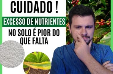 Excesso de nutrientes pode afetar a produção agrícola?