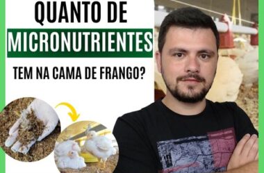 Quanto de micronutriente tem na cama de frango?