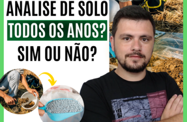 Você deve fazer análise de solo todos os anos?