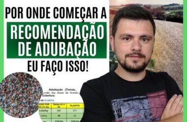 Por onde começar uma recomendação de adubação?