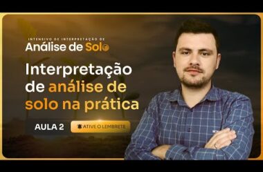 Aula 02 – Interpretação de análise de solo na prática (Intensivo de análise de solo)