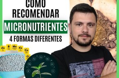 4 Maneiras de se recomendar adubação com micronutrientes