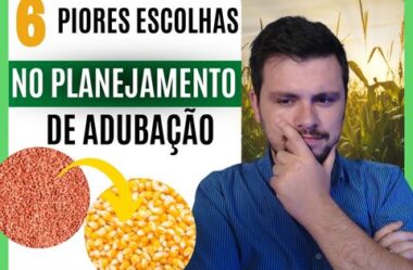 6 piores escolhas no planejamento de adubação